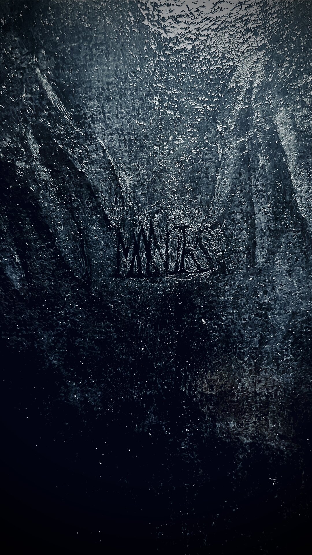 Œuvre Eurydice du Manoirs 2022 — En cours d’exécution