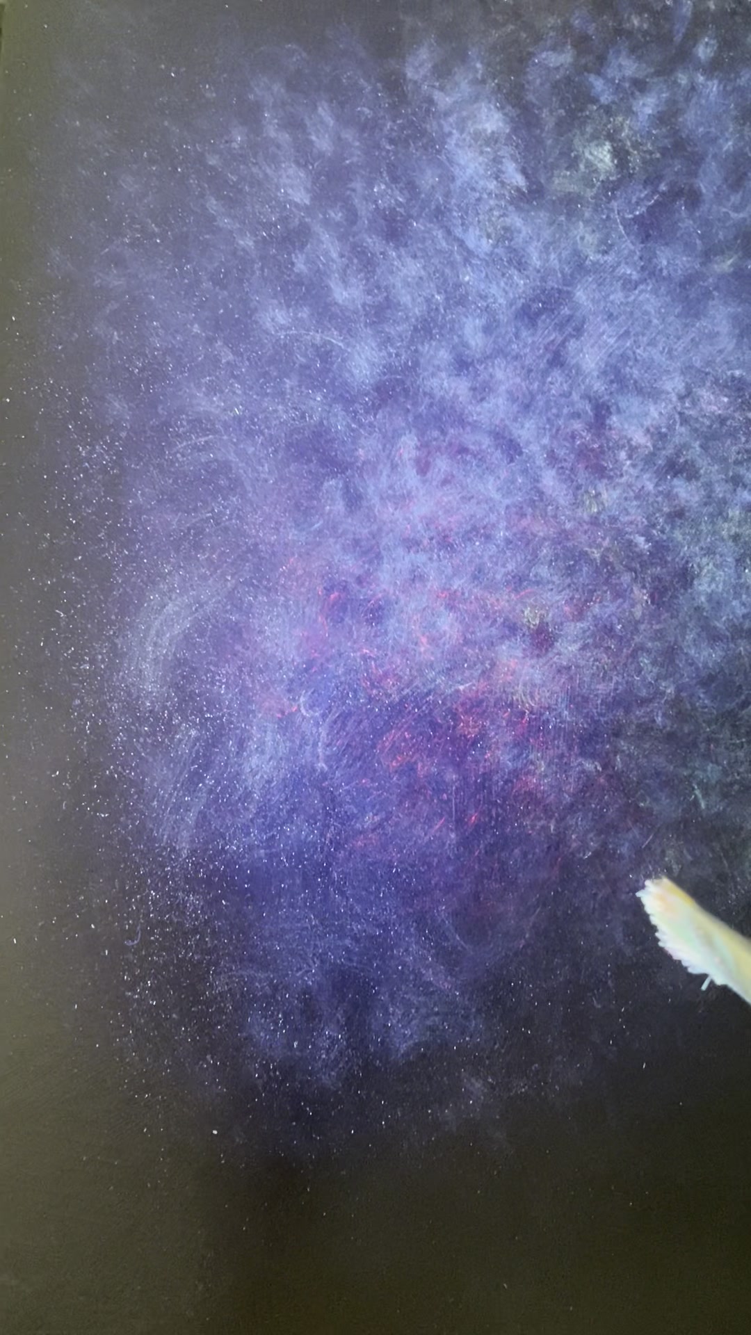 xtrait vidéo Loups du Manoirs