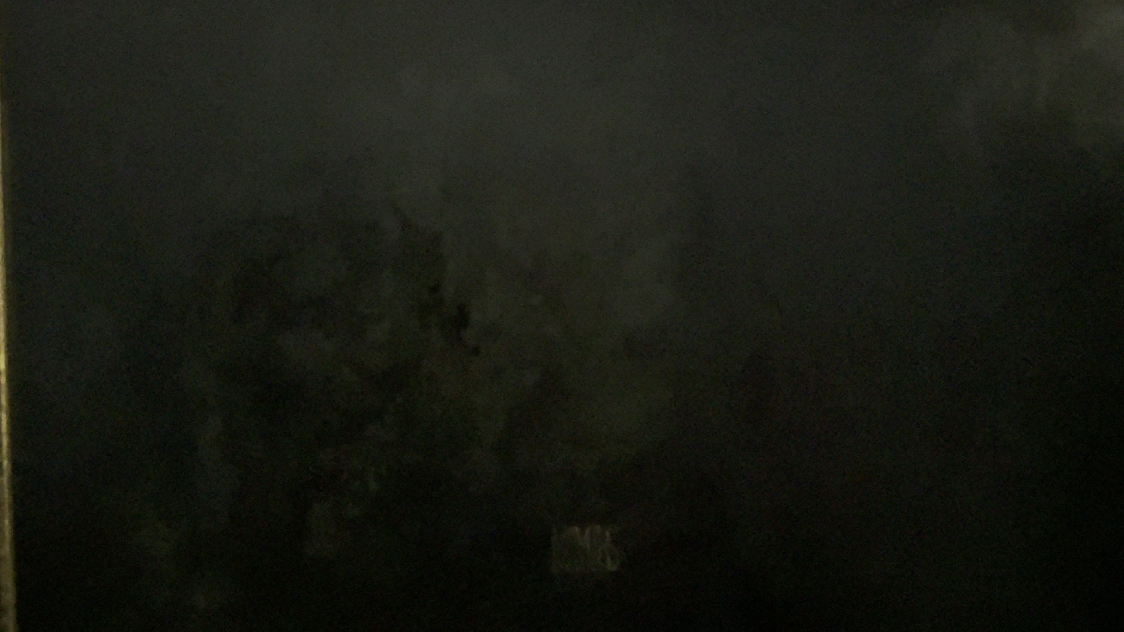 Extrait vidéo Loups du Manoirs