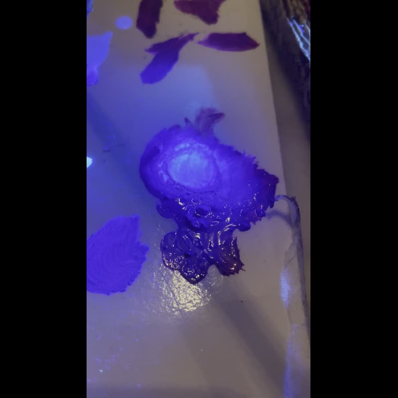 Extrait vidéo Manoirs process Mont-Blanc diurne-nocturne