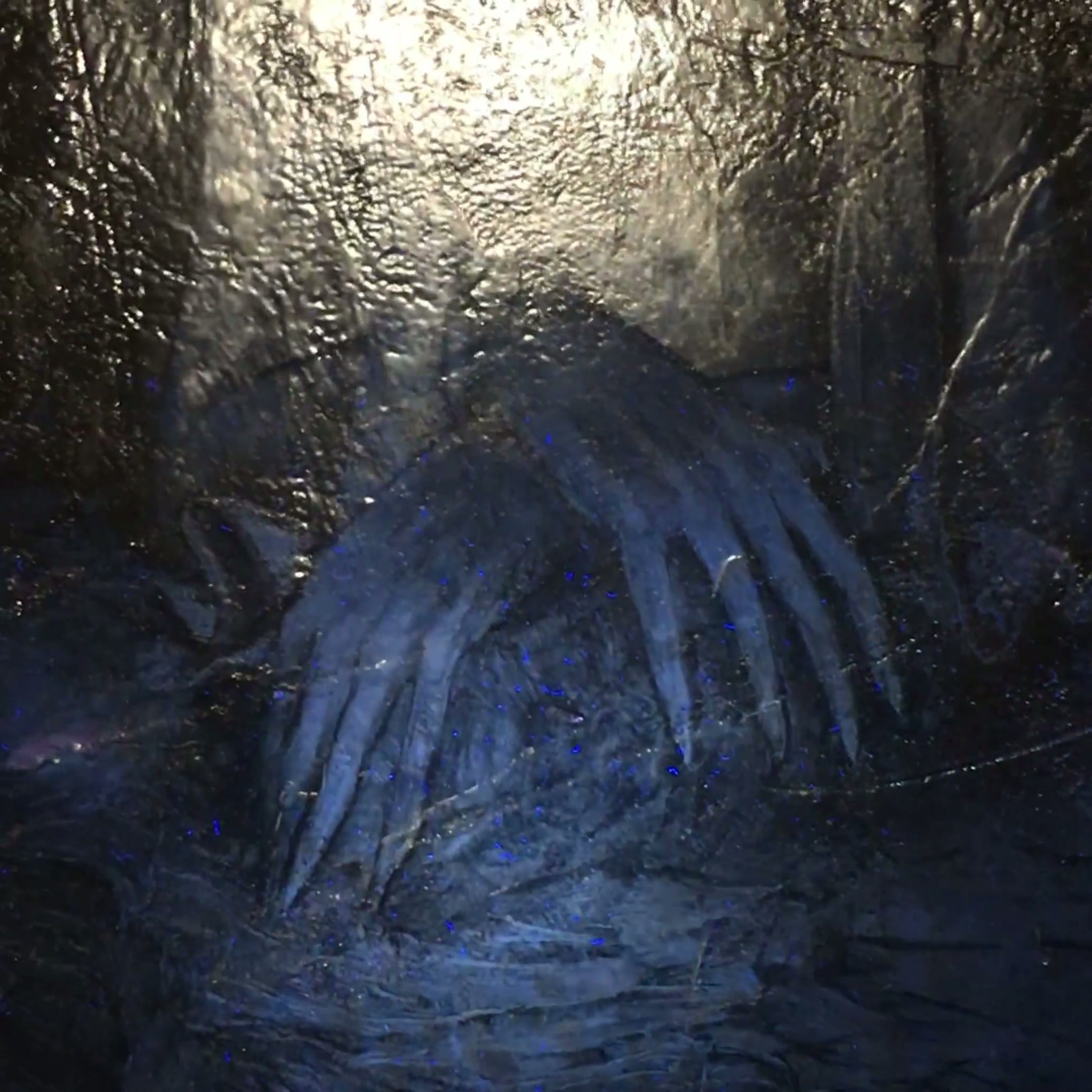 Œuvre Sphinge 2020 — Showreel 