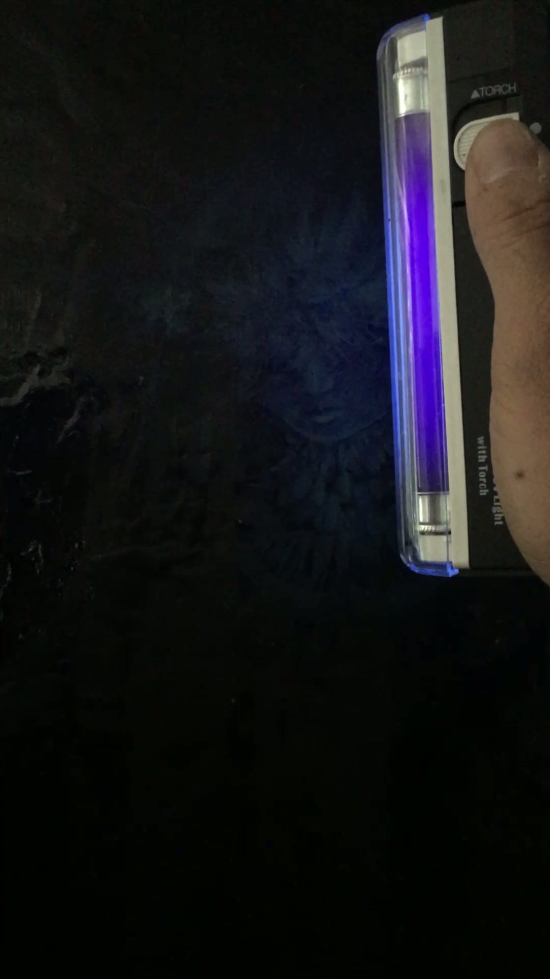 Œuvre Vierge Noire 2020 — Lorsque j'ai dompté ce cheval sauvage 